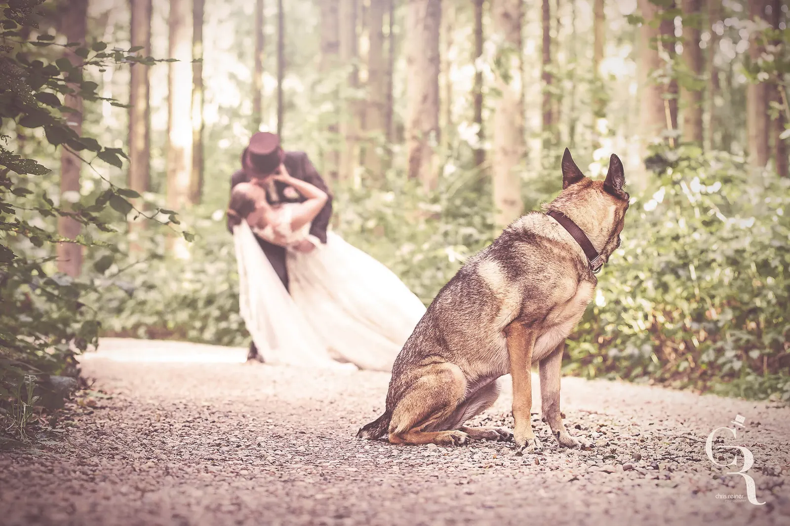 Hochzeitsfotografie — chrisreiner