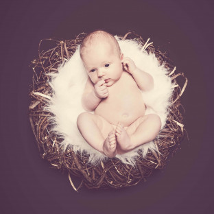 Babyfoto Hamburg - Baby im Nest