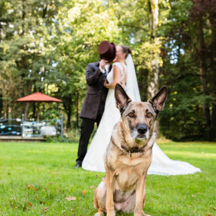Hochzeitspaar mit Hund